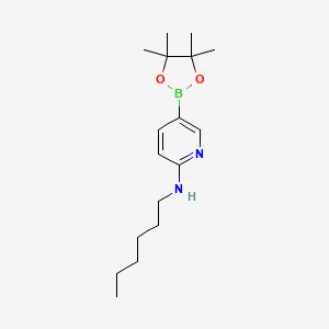molecular formula C17H29BN2O2 B7981940 N-hexyl-5-(tetramethyl-1,3,2-dioxaborolan-2-yl)pyridin-2-amine 