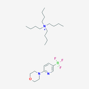 molecular formula C25H47BF3N3O B7981957 Tetrabutylazanium;trifluoro-(6-morpholin-4-ylpyridin-3-yl)boranuide 