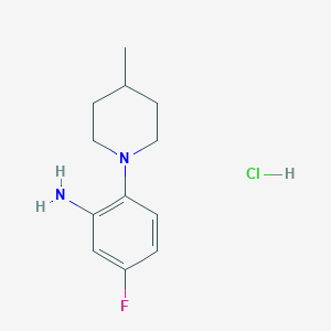 molecular formula C12H18ClFN2 B7982174 5-Fluoro-2-(4-methyl-1-piperidinyl)aniline hydrochloride 