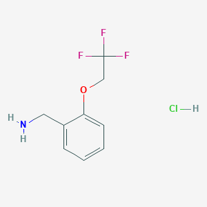 molecular formula C9H11ClF3NO B7982176 1-[2-(2,2,2-Trifluoroethoxy)phenyl]methanamine hydrochloride 