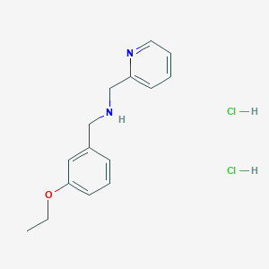 molecular formula C15H20Cl2N2O B7982792 1-(3-Ethoxyphenyl)-N-(pyridin-2-ylmethyl)methanamine dihydrochloride 