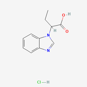 molecular formula C11H13ClN2O2 B7982826 2-(1H-1,3-benzodiazol-1-yl)butanoic acid hydrochloride 