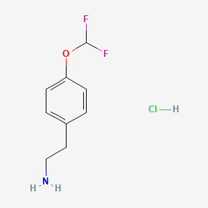 molecular formula C9H12ClF2NO B7982854 2-(4-Difluoromethoxy-phenyl)-ethylamine hydrochloride 