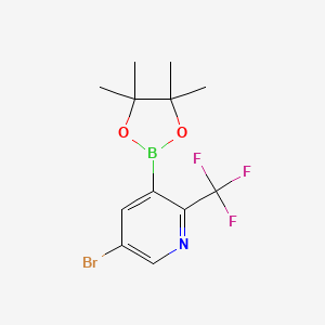 5-Bromo-3-(4,4,5,5-tetramethyl-1,3,2-dioxaborolan-2-yl)-2-(trifluoromethyl)pyridine