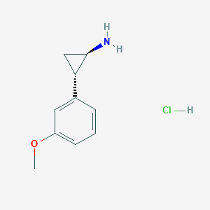 molecular formula C10H14ClNO B7984318 (1R,2S)-2-(3-methoxyphenyl)cyclopropan-1-amine hydrochloride 