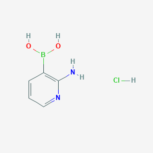 molecular formula C5H8BClN2O2 B7988975 2-Aminopyridin-3-ylboronic acid hcl 