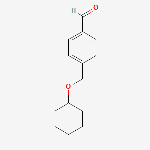 molecular formula C14H18O2 B7989964 4-[(Cyclohexyloxy)methyl]benzaldehyde 