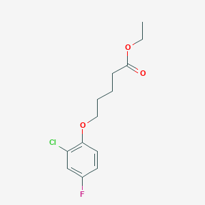 molecular formula C13H16ClFO3 B7990002 Ethyl 5-(2-chloro-4-fluoro-phenoxy)pentanoate 