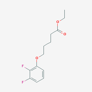 molecular formula C13H16F2O3 B7990616 Ethyl 5-(2,3-difluoro-phenoxy)pentanoate CAS No. 1443344-82-8