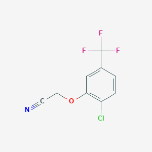 molecular formula C9H5ClF3NO B7991071 2-[2-Chloro-5-(trifluoromethyl)-phenoxy]acetonitrile 