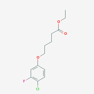 molecular formula C13H16ClFO3 B7991451 Ethyl 5-(4-chloro-3-fluoro-phenoxy)pentanoate 