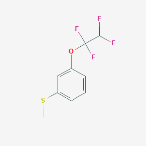 molecular formula C9H8F4OS B7991600 Methyl 3-(1,1,2,2-tetrafluoroethoxy)phenyl sulfide CAS No. 1443305-10-9