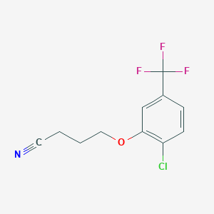 molecular formula C11H9ClF3NO B7992823 4-[2-Chloro-5-(trifluoromethyl)-phenoxy]butanenitrile 