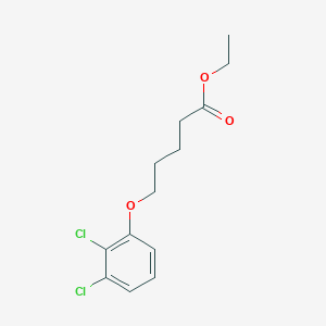 molecular formula C13H16Cl2O3 B7992897 Ethyl 5-(2,3-dichloro-phenoxy)pentanoate 