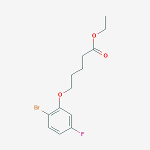 molecular formula C13H16BrFO3 B7993205 Ethyl 5-(2-bromo-5-fluoro-phenoxy)pentanoate 
