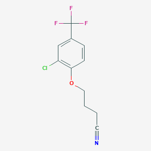 molecular formula C11H9ClF3NO B7995142 4-[2-Chloro-4-(trifluoromethyl)-phenoxy]butanenitrile CAS No. 1443353-55-6