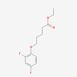 molecular formula C13H16F2O3 B7995436 Ethyl 5-(2,4-difluoro-phenoxy)pentanoate CAS No. 1443344-94-2