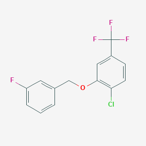 molecular formula C14H9ClF4O B7995551 4-Chloro-3-[(3-fluorophenyl)methoxy]benzotrifluoride 