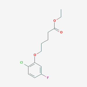 molecular formula C13H16ClFO3 B7997020 Ethyl 5-(2-chloro-5-fluoro-phenoxy)pentanoate 