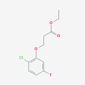 molecular formula C11H12ClFO3 B7997400 Ethyl 3-(2-chloro-5-fluoro-phenoxy)propanoate 