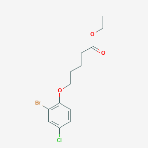 molecular formula C13H16BrClO3 B7998416 Ethyl 5-(2-bromo-4-chloro-phenoxy)pentanoate 