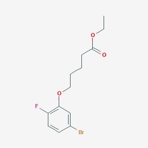 molecular formula C13H16BrFO3 B7999994 Ethyl 5-(3-bromo-6-fluoro-phenoxy)pentanoate 