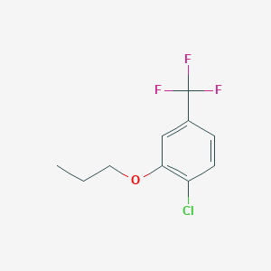 molecular formula C10H10ClF3O B8000399 1-Chloro-2-propoxy-4-(trifluoromethyl)benzene 