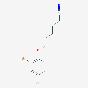 molecular formula C12H13BrClNO B8001245 6-(2-Bromo-4-chloro-phenoxy)hexanenitrile 