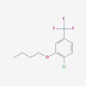 molecular formula C11H12ClF3O B8001462 3-n-Butoxy-4-chlorobenzotrifluoride 