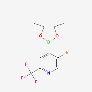 molecular formula C12H14BBrF3NO2 B8002720 5-Bromo-4-(4,4,5,5-tetramethyl-1,3,2-dioxaborolan-2-yl)-2-(trifluoromethyl)pyridine CAS No. 2064225-89-2