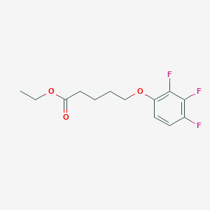 molecular formula C13H15F3O3 B8003328 Ethyl 5-(2,3,4-trifluoro-phenoxy)pentanoate 