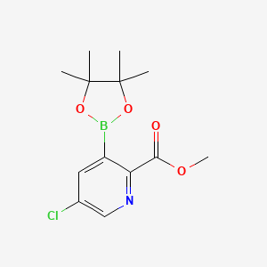 molecular formula C13H17BClNO4 B8003486 Methyl 5-chloro-3-(4,4,5,5-tetramethyl-1,3,2-dioxaborolan-2-YL)picolinate 