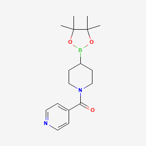 molecular formula C17H25BN2O3 B8003559 4-{[4-(Tetramethyl-1,3,2-dioxaborolan-2-yl)piperidin-1-yl]carbonyl}pyridine 