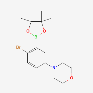 molecular formula C16H23BBrNO3 B8003776 4-[4-Bromo-3-(4,4,5,5-tetramethyl-1,3,2-dioxaborolan-2-yl)phenyl]morpholine 