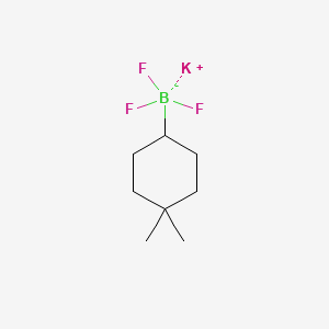 molecular formula C8H15BF3K B8003791 Potassium (4,4-dimethylcyclohexyl)trifluoroboranuide 
