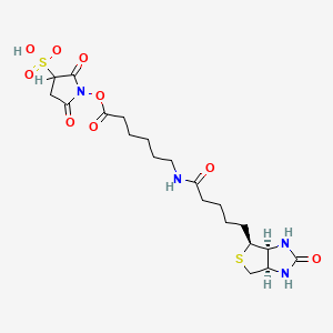 Sulfo-nhs-LC-biotin