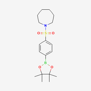 molecular formula C18H28BNO4S B8005126 4-(Homopiperidin-1-ylsulfonyl)phenylboronic acid pinacol ester 