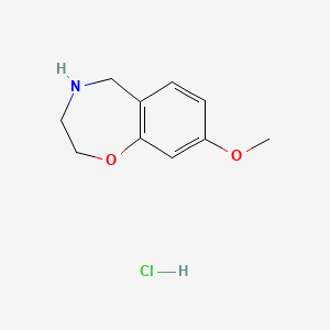 molecular formula C10H14ClNO2 B8005337 8-Methoxy-2,3,4,5-tetrahydro-1,4-benzoxazepine hydrochloride 