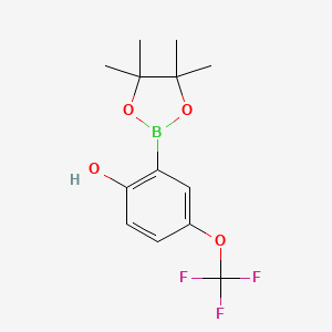 molecular formula C13H16BF3O4 B8005363 2-Hydroxy-5-(trifluoromethoxy)phenylboronic acid pinacol ester 