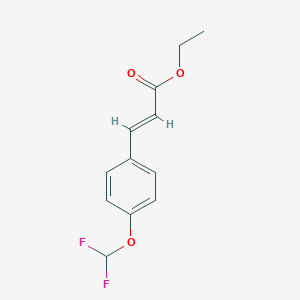molecular formula C12H12F2O3 B8005447 (E)-Ethyl 3-(4-(difluoromethoxy)phenyl)acrylate 