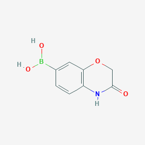 molecular formula C8H8BNO4 B8005469 3-Oxo-4H-benzo[1,4]oxazine-7-boronic acid 