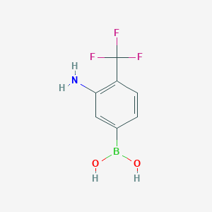 molecular formula C7H7BF3NO2 B8006145 3-Amino-4-(trifluoromethyl)phenylboronic acid 