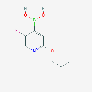 molecular formula C9H13BFNO3 B8006158 (5-Fluoro-2-isobutoxypyridin-4-yl)boronic acid 