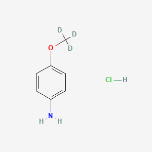 molecular formula C7H10ClNO B8006204 4-(Trideuteriomethoxy)aniline;hydrochloride 