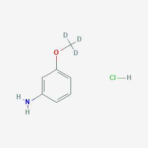 molecular formula C7H10ClNO B8006210 3-(2H3)methoxyaniline hydrochloride 