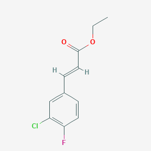 molecular formula C11H10ClFO2 B8007154 Ethyl 3-Chloro4-fluorocinnamate 