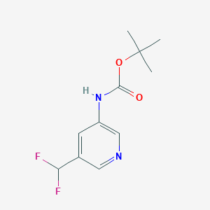 molecular formula C11H14F2N2O2 B8007212 tert-butyl N-[5-(difluoromethyl)-3-pyridyl]carbamate CAS No. 899899-70-8