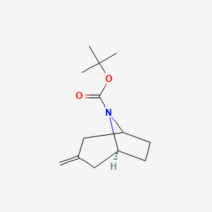 molecular formula C13H21NO2 B8007514 tert-butyl (5S)-3-methylidene-8-azabicyclo[3.2.1]octane-8-carboxylate 