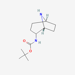 molecular formula C12H22N2O2 B8008364 tert-butyl N-[(1R,5S)-8-azabicyclo[3.2.1]octan-2-yl]carbamate 