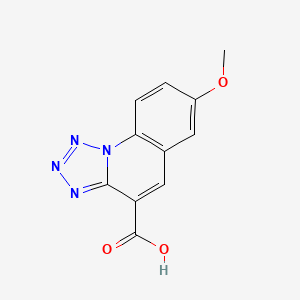 molecular formula C11H8N4O3 B8008520 7-甲氧基四唑并[1,5-a]喹啉-4-羧酸 